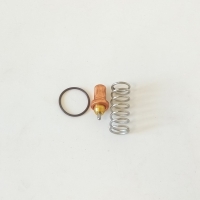 Ремкомплект термостатического клапана для SB 30/37 (303656-229006710N)